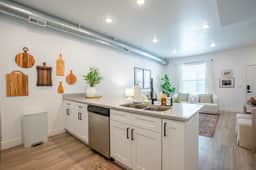 Downtown SLC Townhome + Rooftop Hot Tub