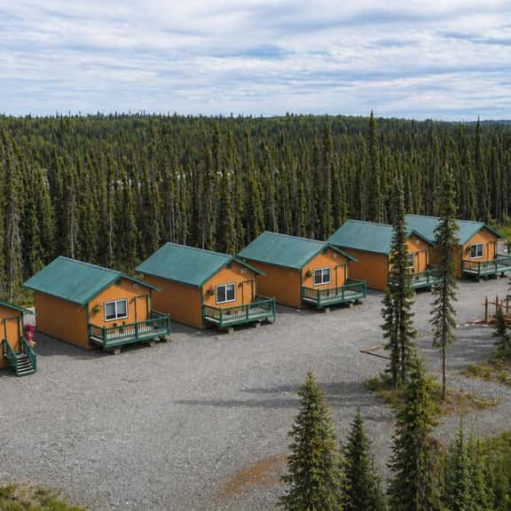 Near Kenai River | Fishing & BBQ | The Tackle Box - Image 1
