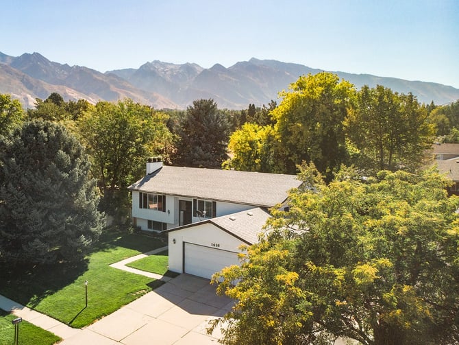 Cottonwood